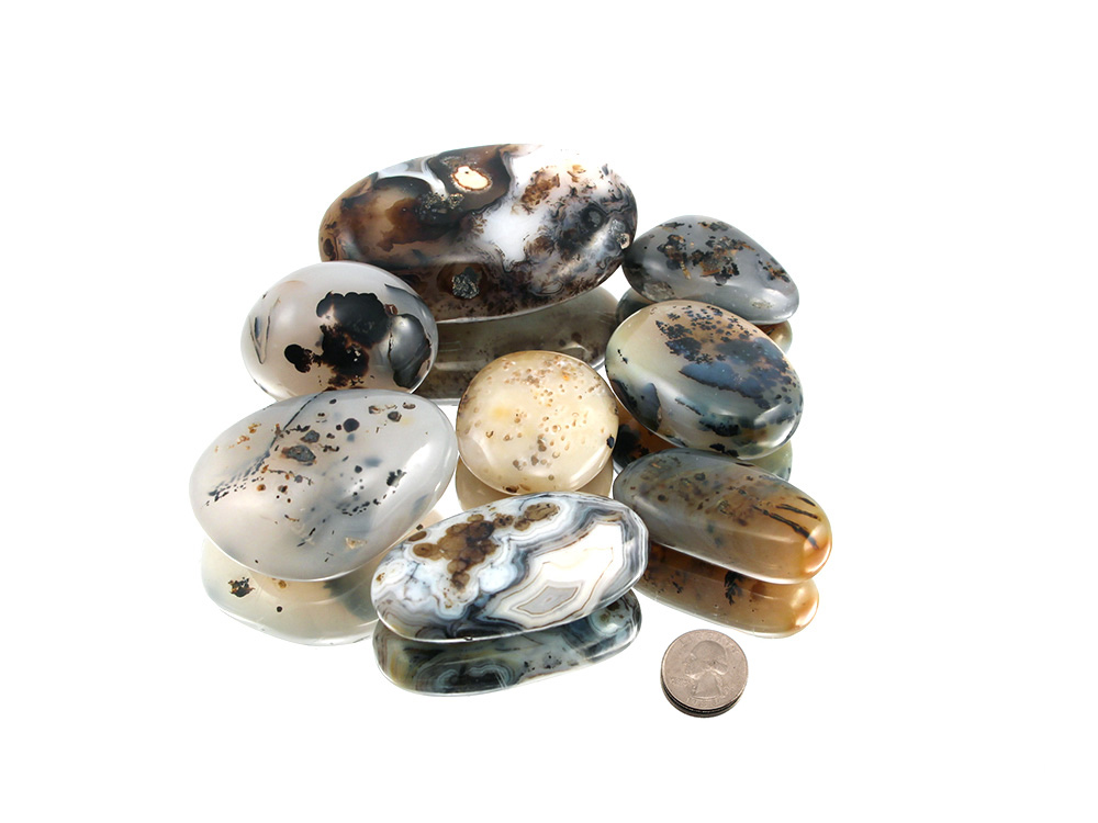 Dendritic Agate XL Tumbled Stones - 1 lb Dendritic Agate XL Tumbled Stones - 1 lb