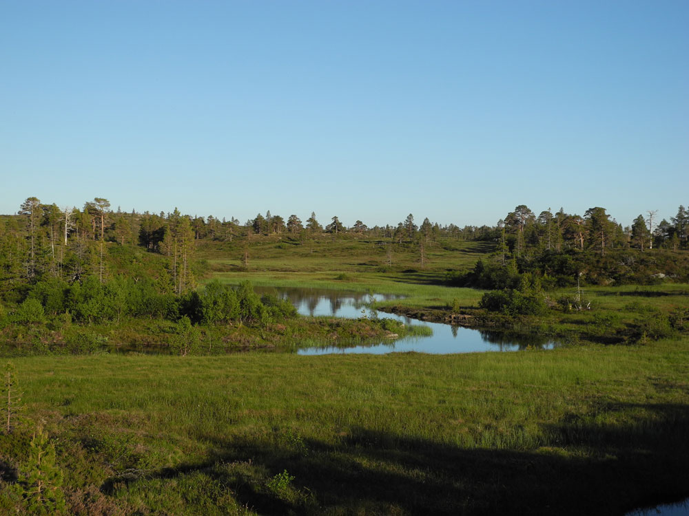 Thulite Rough Stones - 1 lb Thulite Rough Stones - 1 lb