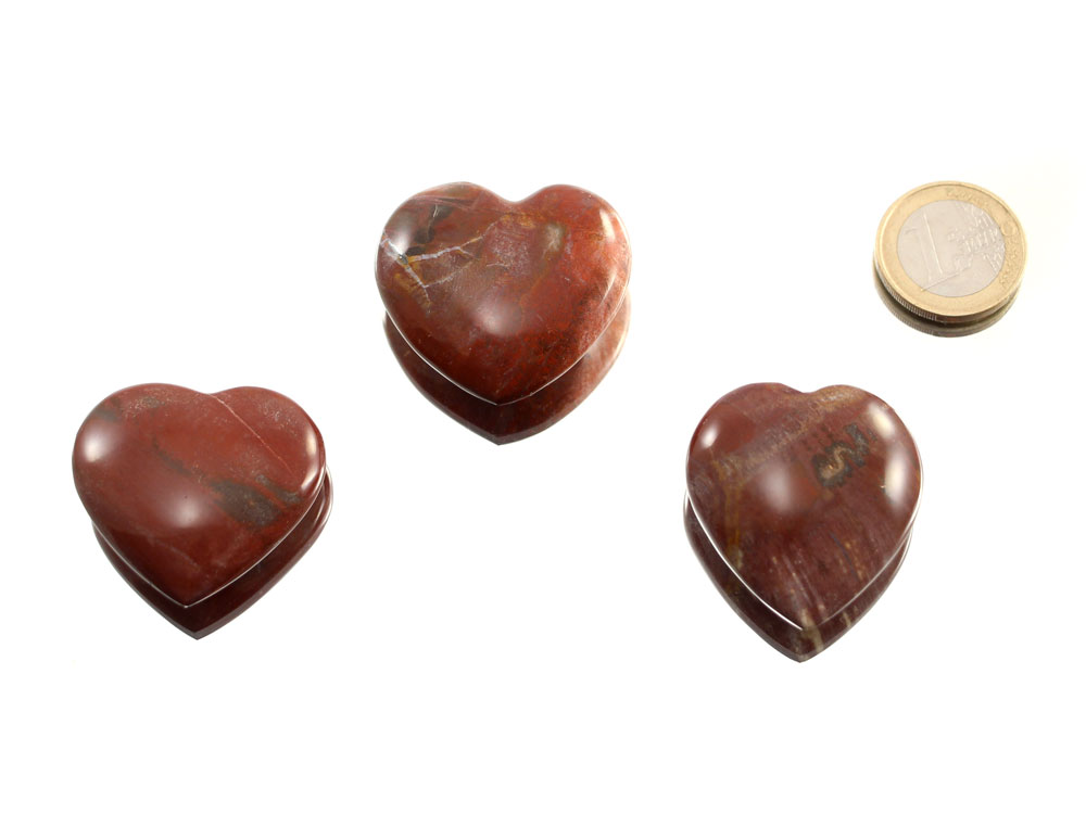 Petrified Wood Heart - 1 pc