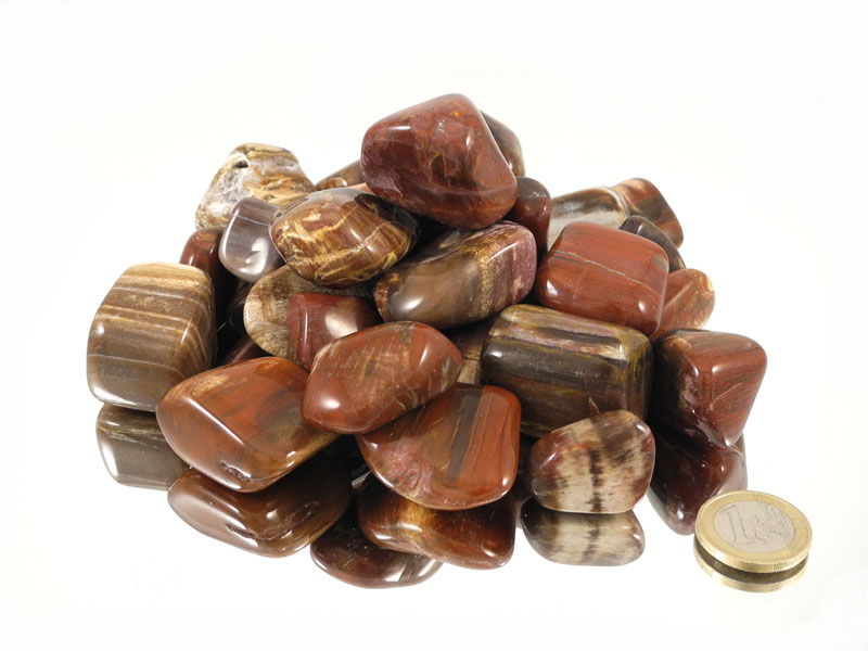 Petrified Wood Tumbled Stones - 1 lb