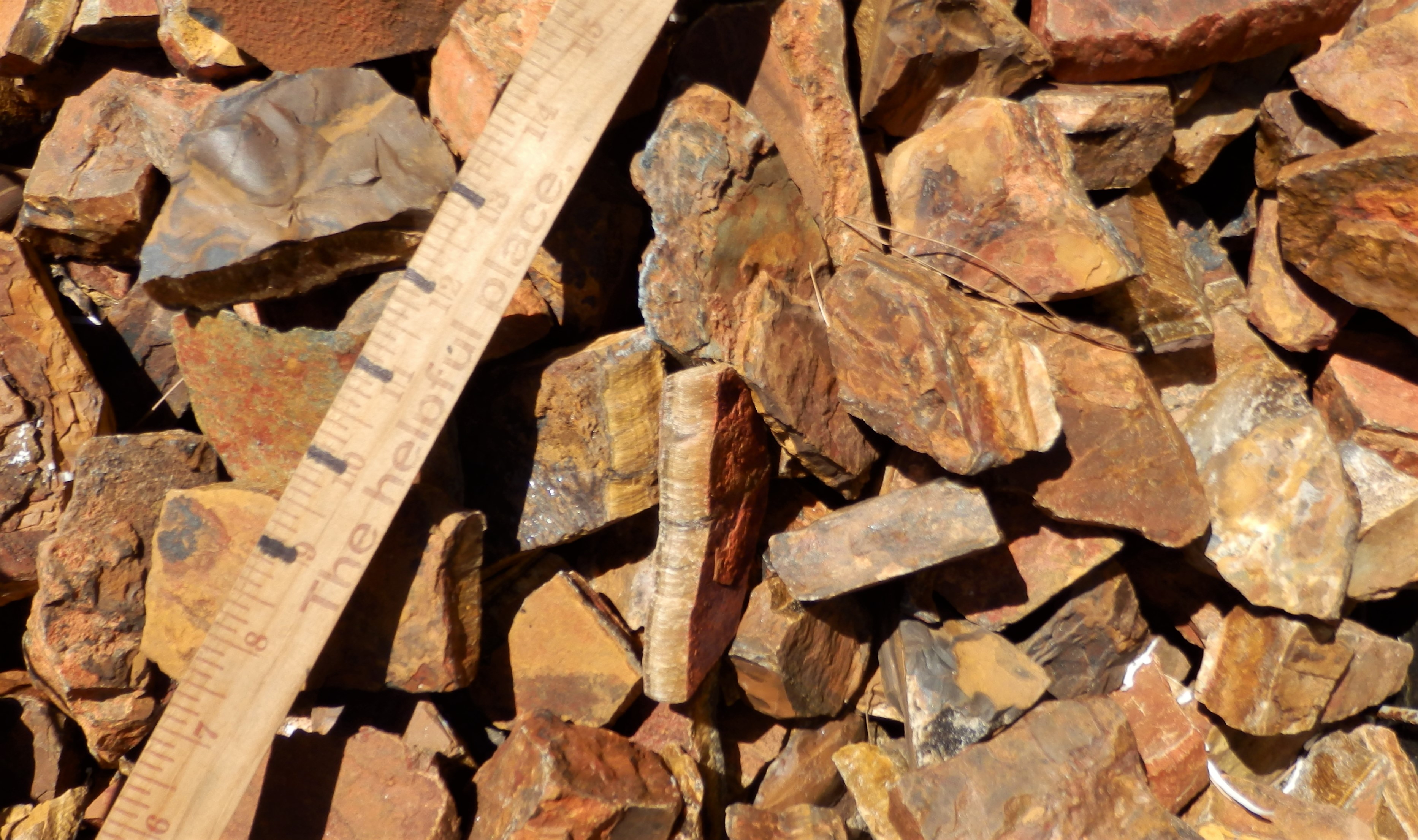 Tiger Eye Small/Thin Rough Stones - 1 lb Tiger Eye Small/Thin Rough Stones - 1 lb