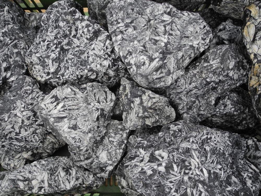Pinolite Rough Stones - 1 lb
