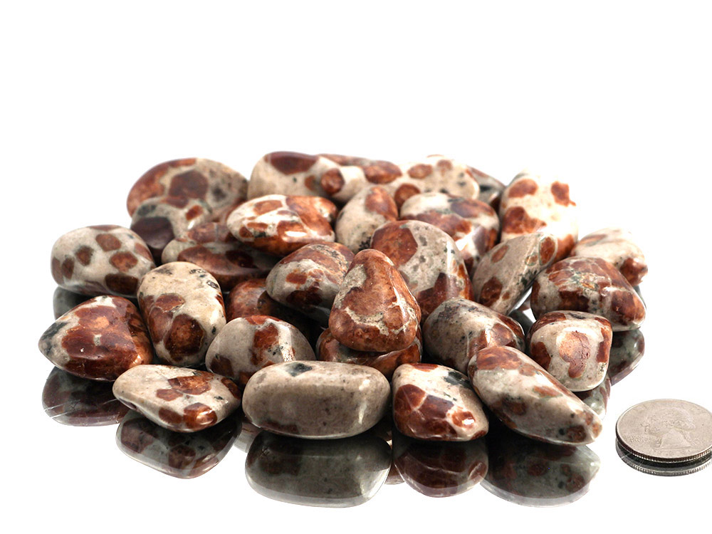 Garnet in Wollastonite tumbled stones - 1lb