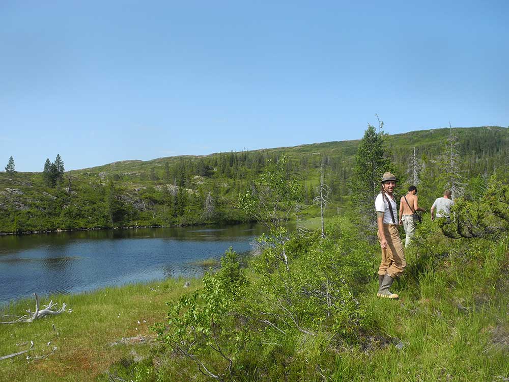 Thulite Bead Strand 12 mm - 1 pc Thulite Bead Strand 12 mm - 1 pc