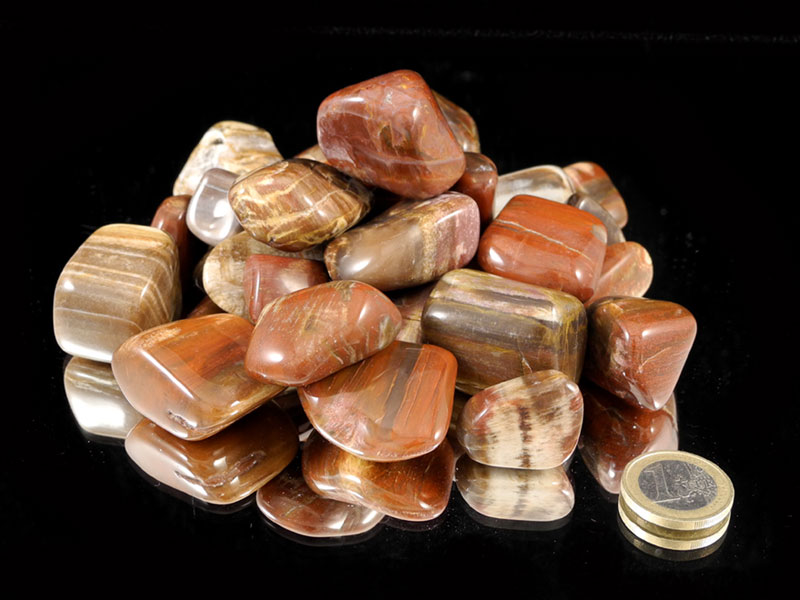 Petrified Wood Tumbled Stones - 1 lb Petrified Wood Tumbled Stones - 1 lb