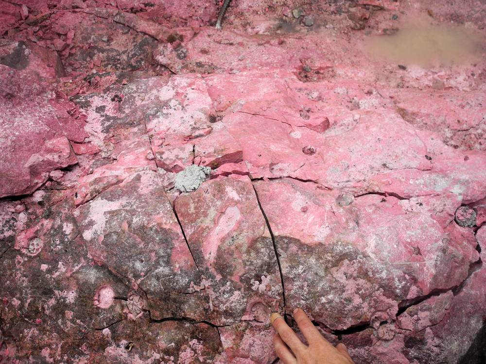 Thulite Jewelry Donut 40 mm - 1 pc Thulite Jewelry Donut 40 mm - 1 pc