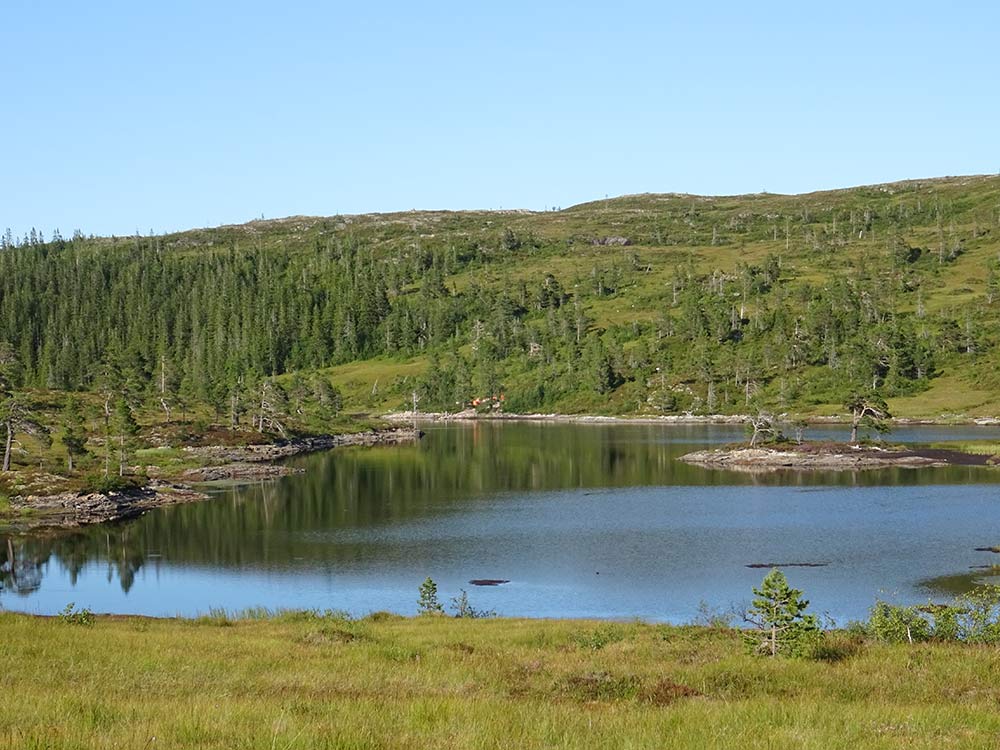 Thulite Nugget Bead Strand - 1 pc Thulite Nugget Bead Strand - 1 pc