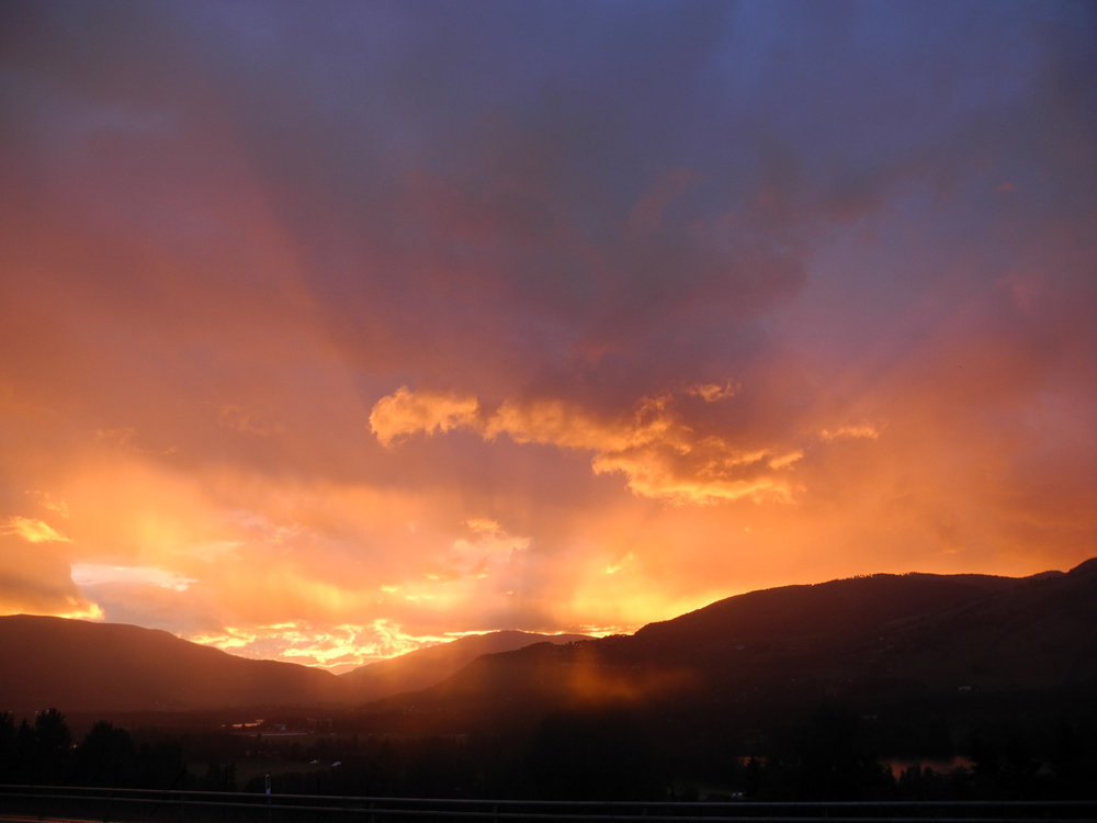 Thulite Bead Strand 8 mm - 1 pc Thulite Bead Strand 8 mm - 1 pc