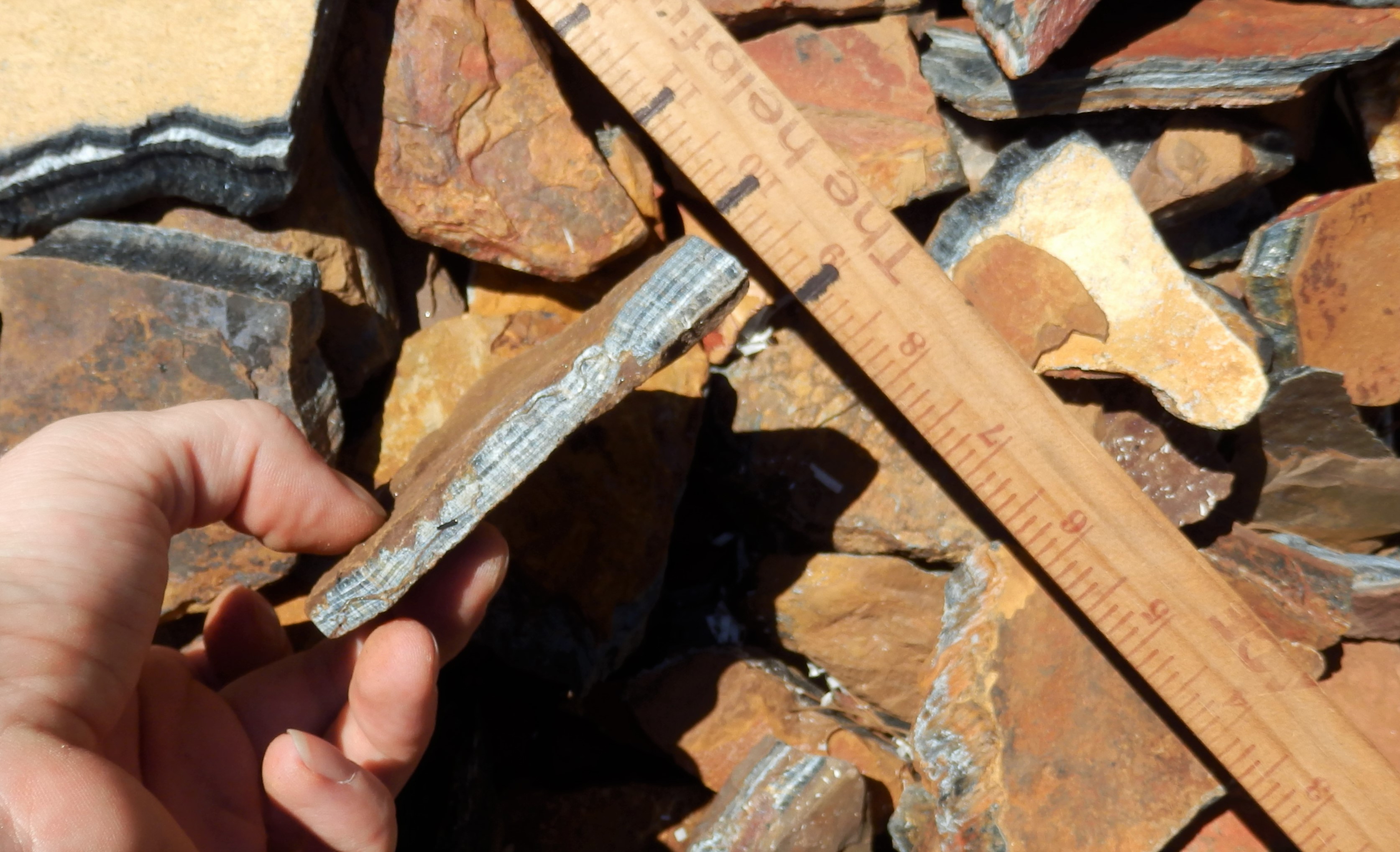 Hawk Eye Rough Stones - 1 lb Hawk Eye Rough Stones - 1 lb