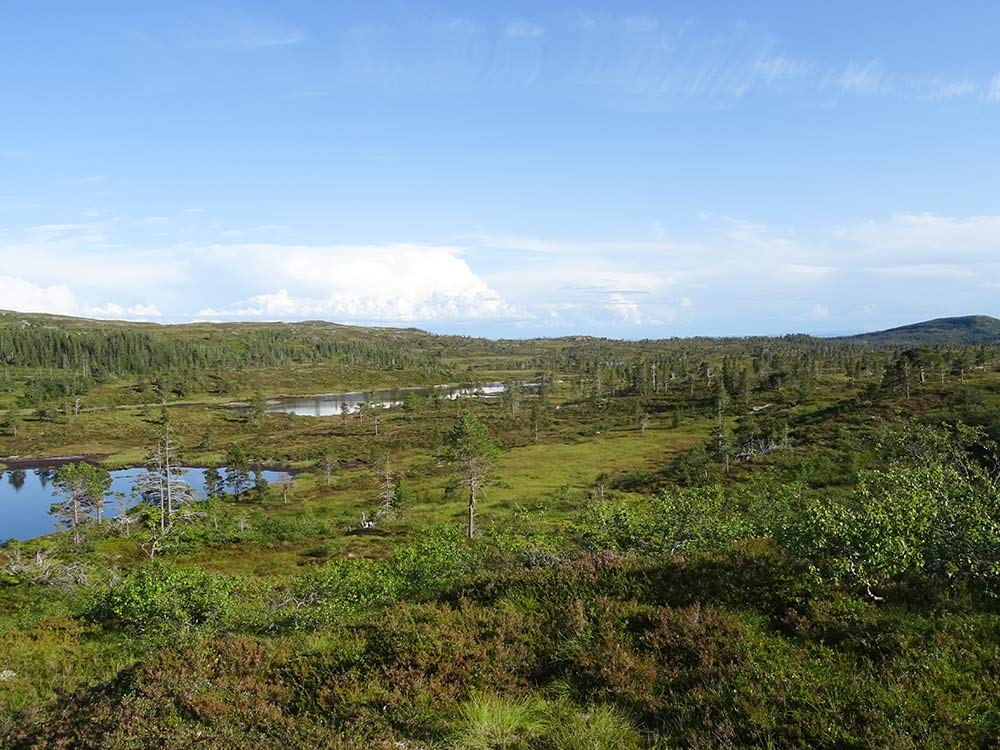 Thulite Granules - 1 lb Thulite Granules - 1 lb