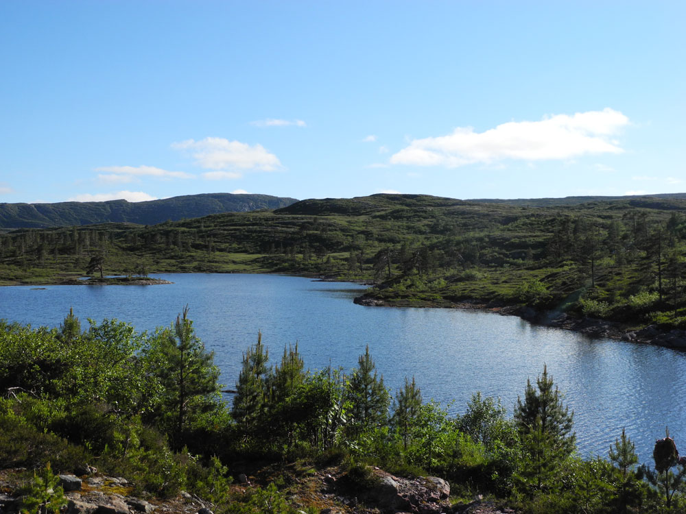 Thulite Bead Strand 4 mm - 1 pc Thulite Bead Strand 4 mm - 1 pc