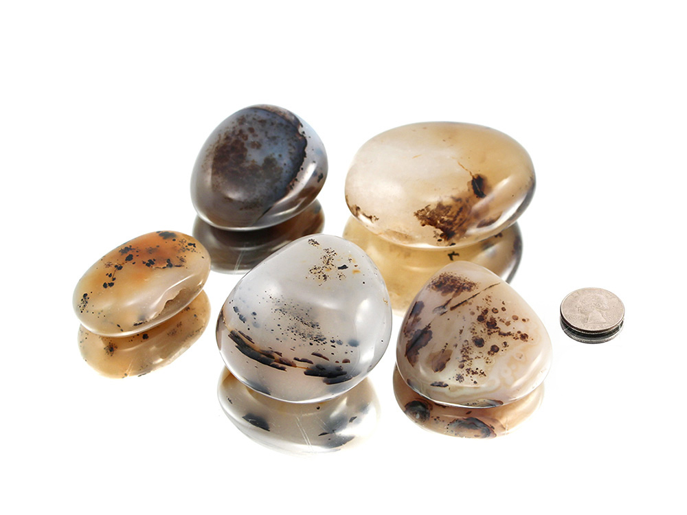 Dendritic Agate XL Tumbled Stones - 1 lb