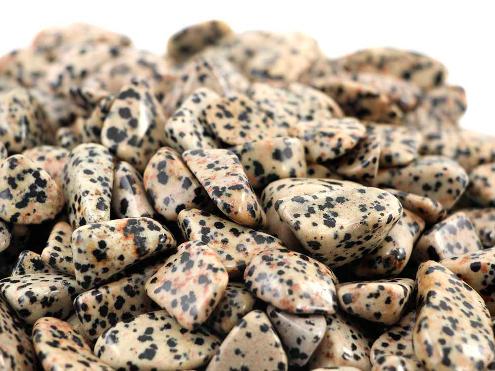 Dalmatian Tumbled Stones - 1 lb Dalmatian Tumbled Stones - 1 lb